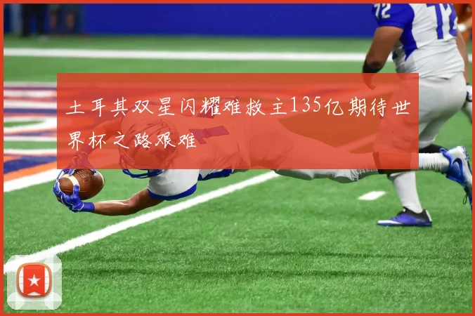 土耳其双星闪耀难救主135亿期待世界杯之路艰难