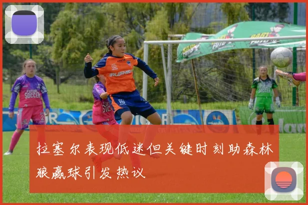 拉塞尔表现低迷但关键时刻助森林狼赢球引发热议