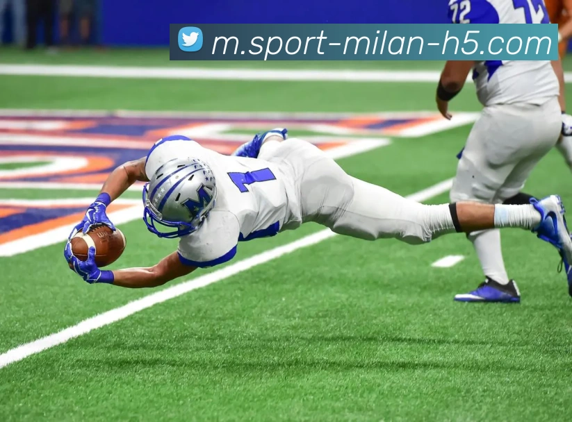 米兰体育平台生态图